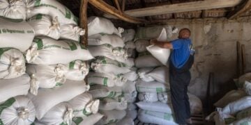 Αγρότης στα Σκόπια τοποθετεί σακιά με ρύζι στην αποθήκη του (φωτ. αρχείου: EPA/Georgi Licovski)