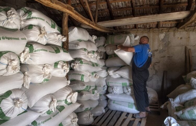 Αγρότης στα Σκόπια τοποθετεί σακιά με ρύζι στην αποθήκη του (φωτ. αρχείου: EPA/Georgi Licovski)