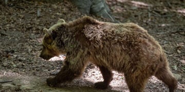 (Φωτ. αρχείου: EUROKINISSI / Ραφαήλ Γεωργιάδης)