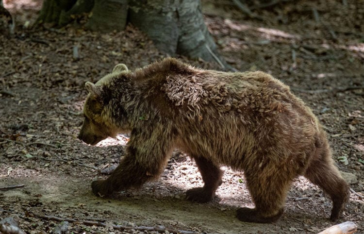 (Φωτ. αρχείου: EUROKINISSI / Ραφαήλ Γεωργιάδης)