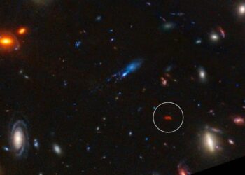 (φωτ.: NASA, ESA, CSA, STScI, J. Diego (Instituto de Física de Cantabria, Spain), J. D'Silva (U. Western Australia), A. Koekemoer (STScI), J. Summers & R. Windhorst (ASU), and H. Yan (U. Missouri)