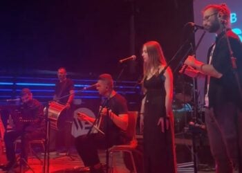 (Φωτ.: tiktok/dionisis_papadopoulos_)