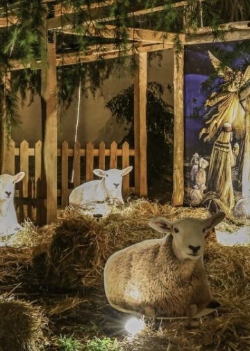 Φάτνη στην αυλή του Επισκοπείου Κατερίνης (φωτ.: facebook/Μητρόπολη Κίτρους, Κατερίνης και Πλαταμώνος)