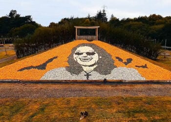 (Φωτ.: facebook / Sunnyfields Farm)