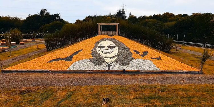 (Φωτ.: facebook / Sunnyfields Farm)