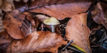 (Φωτ.: EUROKINISSI)