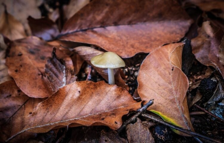 (Φωτ.: EUROKINISSI)