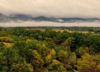 (Φωτ.: ΜΟΤΙΟΝΤΕΑΜ/Βασίλης Βερβερίδης)