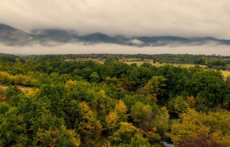 (Φωτ.: ΜΟΤΙΟΝΤΕΑΜ/Βασίλης Βερβερίδης)