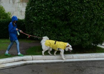 (Φωτ. αρχείου: EUROKINISSI/Τατιάνα Μπόλαρη)