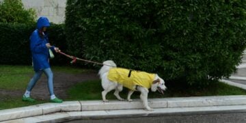 (Φωτ. αρχείου: EUROKINISSI/Τατιάνα Μπόλαρη)