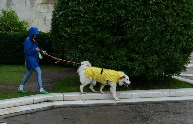 (Φωτ. αρχείου: EUROKINISSI/Τατιάνα Μπόλαρη)