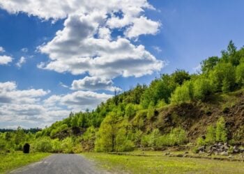 (Φωτ.: pixabay.com/users/real-napster)