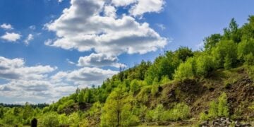 (Φωτ.: pixabay.com/users/real-napster)