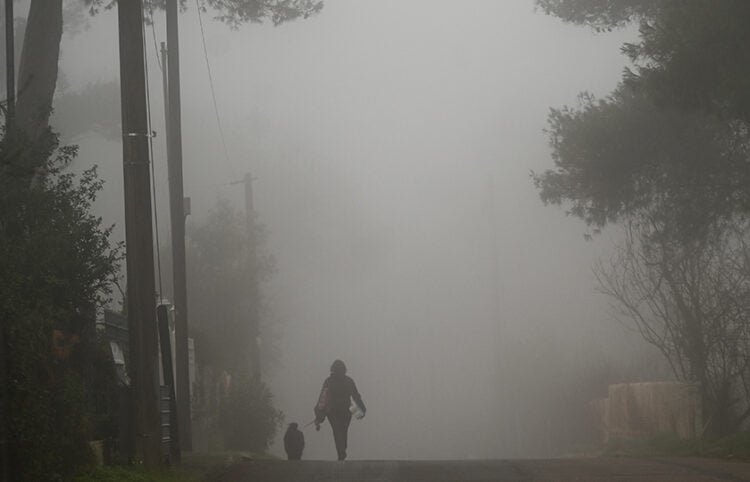 (Φωτ. αρχείου: EUROKINISSI / Μιχάλης Καραγιάννης)