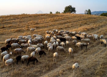 (Φωτ. αρχείου: EUROKINISSI / Αντώνης Νικολόπουλος)
