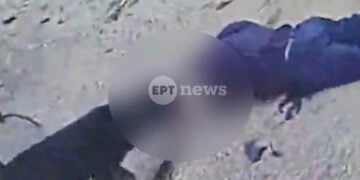 Καρέ από το βίντεο κάμερας κλειστού κυκλώματος, δείχνει την επίθεση του  ροτβάιλερ στον 76χρονο (πηγή: ΕΡΤ)