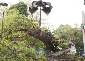 Εικόνα από το καταπλακωμένο όχημα στη Θεσσαλονίκη (πηγή: exchange.glomex.com)