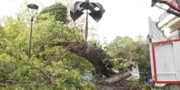 Εικόνα από το καταπλακωμένο όχημα στη Θεσσαλονίκη (πηγή: exchange.glomex.com)