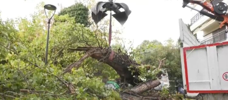 Εικόνα από το καταπλακωμένο όχημα στη Θεσσαλονίκη (πηγή: exchange.glomex.com)