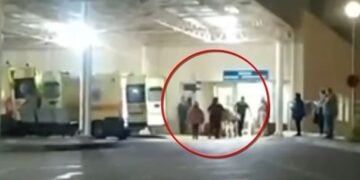 Τραυματιοφορείς διακρίνονται να μεταφέρουν τον άτυχο 20χρονο μέσα στο κτήριο του νοσοκομείου Χαλκίδας (φωτ.: glomex)