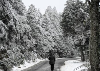 Στιγμιότυπο από την χιονισμένη Πάρνηθα 
(φωτ.: Μιχάλης Καραγιάννης/EUROKINISSI)
