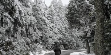 Στιγμιότυπο από την χιονισμένη Πάρνηθα 
(φωτ.: Μιχάλης Καραγιάννης/EUROKINISSI)