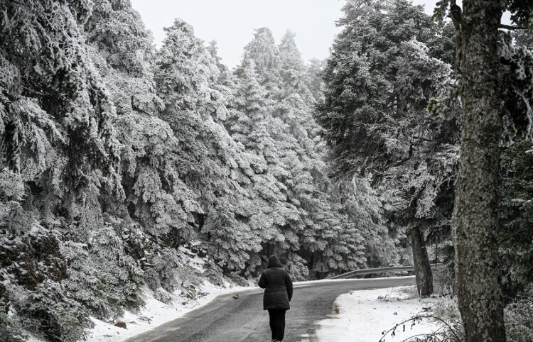 Στιγμιότυπο από την χιονισμένη Πάρνηθα
(φωτ.: Μιχάλης Καραγιάννης/EUROKINISSI)