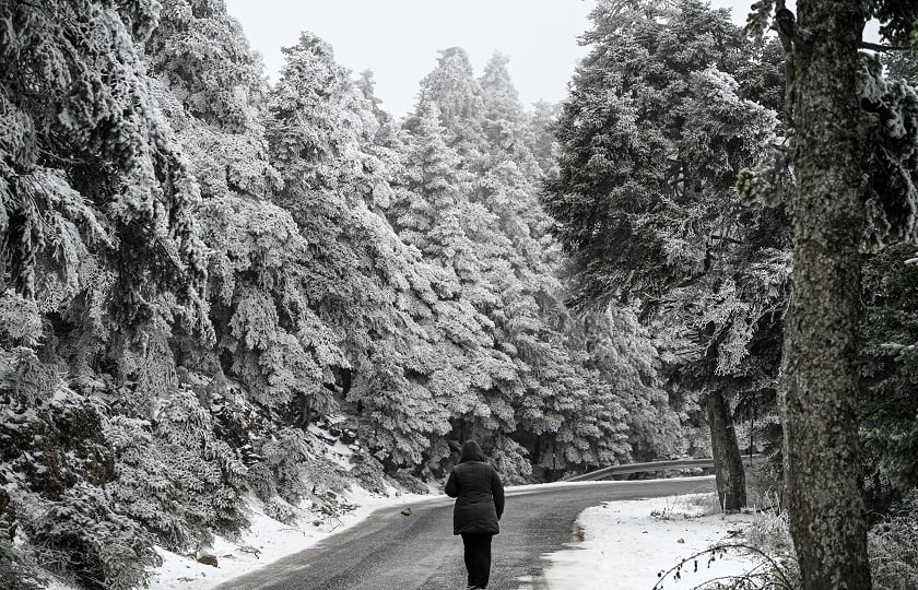 Στιγμιότυπο από την χιονισμένη Πάρνηθα 
(φωτ.: Μιχάλης Καραγιάννης/EUROKINISSI)