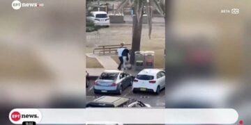 Η στιγμή που ο 43χρονος ιδιοκτήτης οπωροπωλείου Αχμέντ αλ Αχμέντ, ο οποίος, σύμφωνα με βίντεο, όρμησε και αφόπλισε έναν από τους ενόπλους (φωτ.: glomex ertnews)