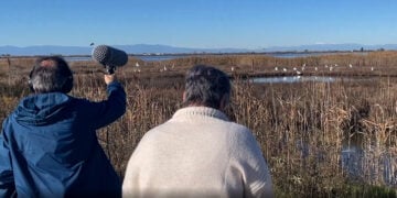 (Πηγή: ΑΠΕ-ΜΠΕ / Μαρία Ματσιώλα)