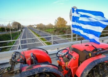 (Φωτ.: EUROKINISSI/Ευαγγελία Φωκά-Τρυψάνη)