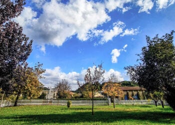 (Φωτ.: EUROKINISSI / Γιώργος Κονταρίνης)