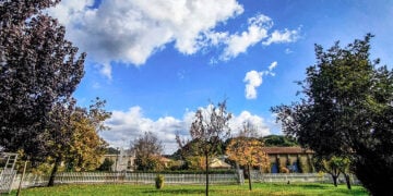 (Φωτ.: EUROKINISSI / Γιώργος Κονταρίνης)