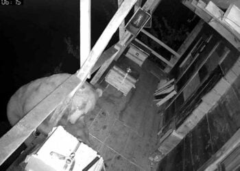 Καρέ από το βίντεο (πηγή: gundemartvin.com)