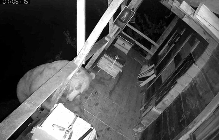 Καρέ από το βίντεο (πηγή: gundemartvin.com)