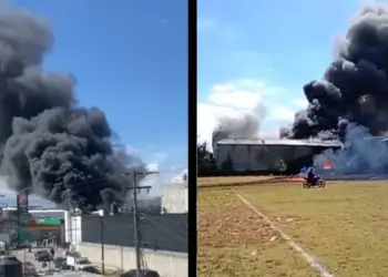 (Φωτ.: milenio.com)