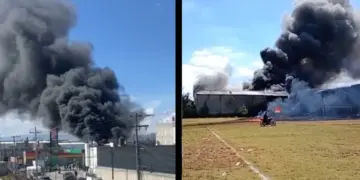 (Φωτ.: milenio.com)