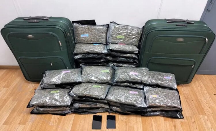 (Φωτ.: astynomia.gr)