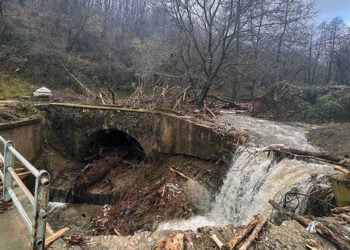 (Φωτ.: cityoflorina.gr)