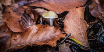 (Φωτ.: EUROKINISSI)