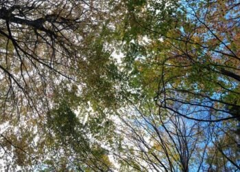 (Φωτ.: EUROKINISSI)