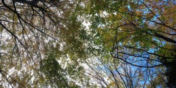 (Φωτ.: EUROKINISSI)