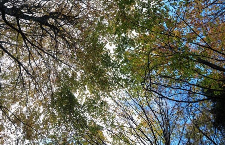 (Φωτ.: EUROKINISSI)