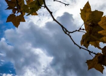 (Φωτ.: EUROKINISSI/Γιώργος Κονταρίνης)