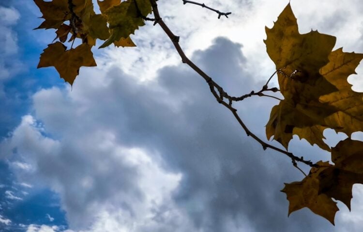 (Φωτ.: EUROKINISSI/Γιώργος Κονταρίνης)