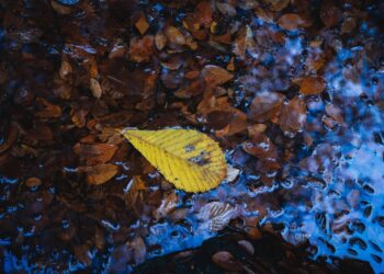 (Φωτ.: EUROKINISSI)