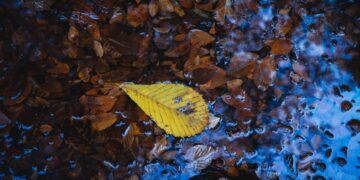 (Φωτ.: EUROKINISSI)