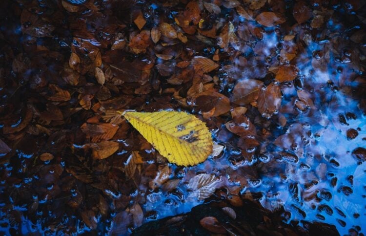 (Φωτ.: EUROKINISSI)