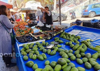 (Φωτ.: Χριστίνα Κωνσταντάκη)